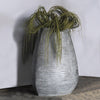 Weeping Willow in LG Trapezoid Planter