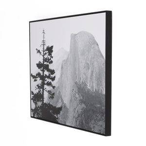 Half Dome From Glacier Point By Getty In Bl
