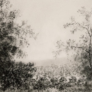 Landscape Study Ii By Aileen Fitzgerald