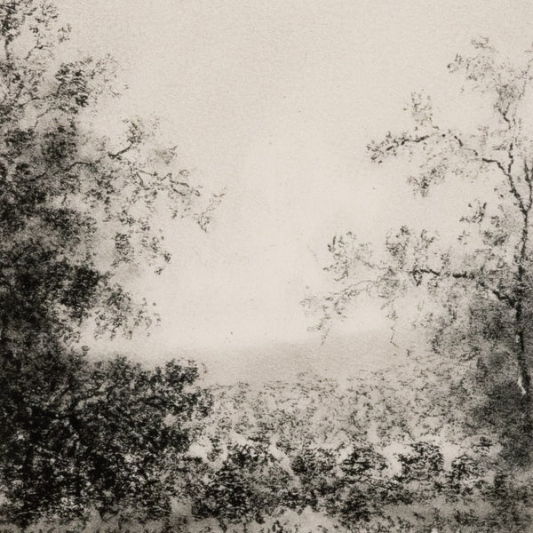 Landscape Study Ii By Aileen Fitzgerald