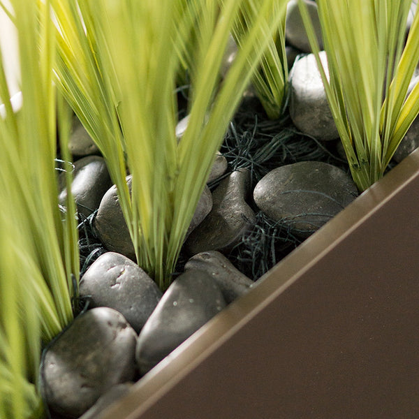 Short Japanese Grass in Custom Rectangle Planter