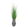 Bluestem Grass in Grecco Urn