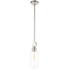 Single Large Glass Clear Pendant in Satin Nickel