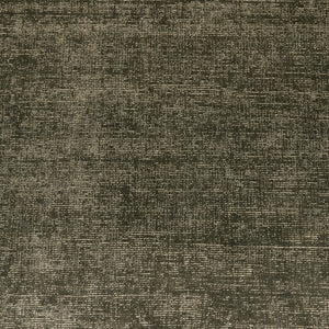 Blanton Outdoor Rug in Olive 10'x14''