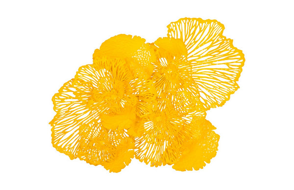 Flower Wall Art, Dandelion, Large