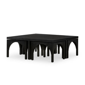 Amara Coffee Table - Black Oak Veneer