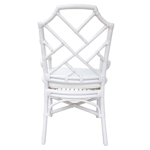 Kara Rattan Arm Chair In White