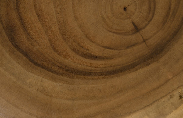 Smoothed Stool on Black Metal Legs, Chamcha Wood, Natural