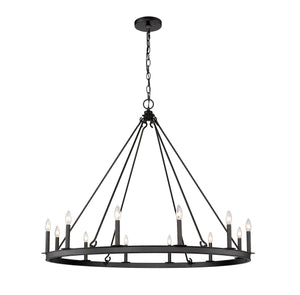 Barclay 12 Light Chandelier in Matte Black Finish