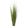 36" Japanese Silver Grass, unpotted 19 bunch set