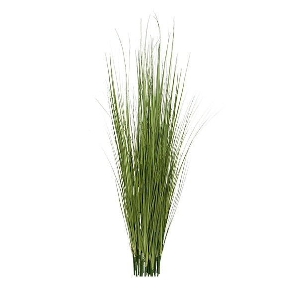 36" Japanese Silver Grass, unpotted 19 bunch set