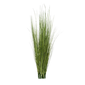 36" Japanese Silver Grass, unpotted 19 bunch set