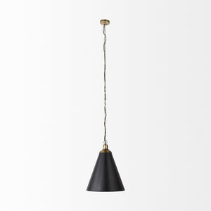 Fenton  18.0L x 18.0W x 23.0H Black W/Antiqued Gold Accents Pendant Light