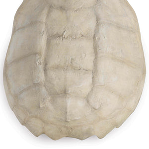 Turtle Shell Accessory In Bleached