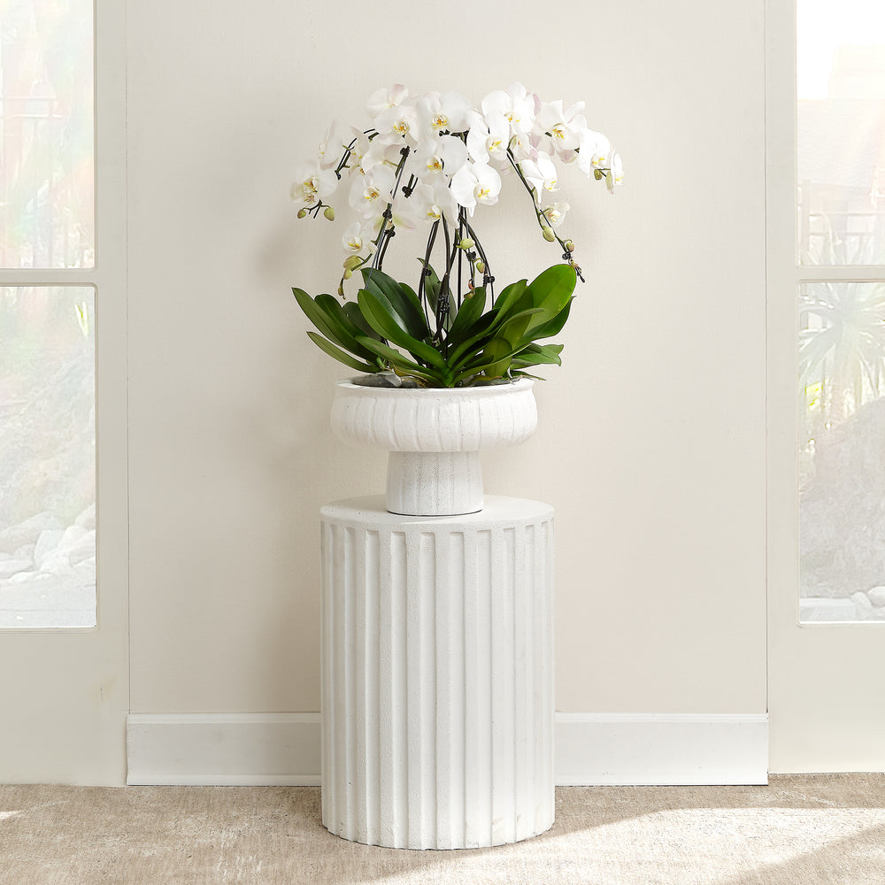Flutted Cement Side Table, White