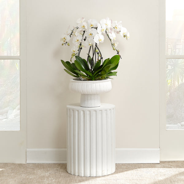 Flutted Cement Side Table, White