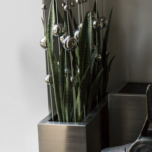Stainless Ball Sway and Sansevieria in Stainless R