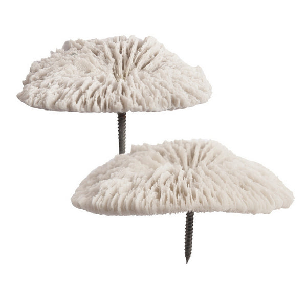 Radica Wall Play, Set of 2, Outdoor Cream