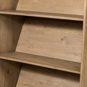 Bane Bookshelf and Ladder in Smoked Pine