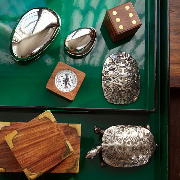 Turtle Shell Paper Weight & Wall Décor