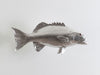 Coral Trout Fish, Silver Leaf