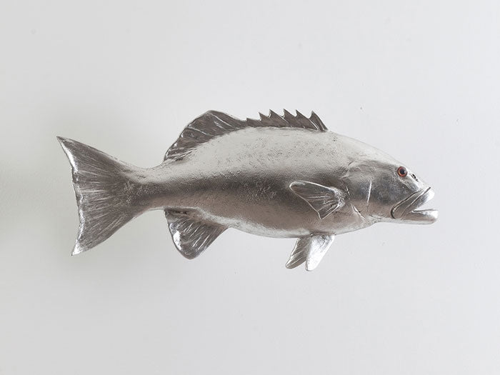 Coral Trout Fish, Silver Leaf