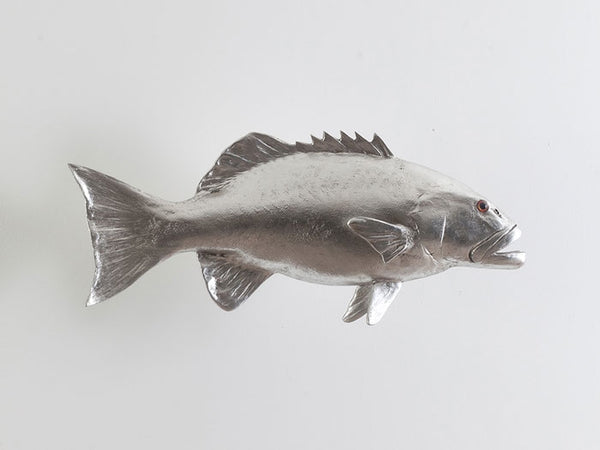 Coral Trout Fish, Silver Leaf