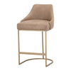 Parissa Counter Stool, Set of 2