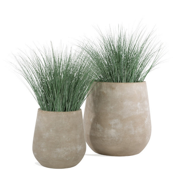 Bear Grass in Urbano Bell Fiber Clay Planter, LARG