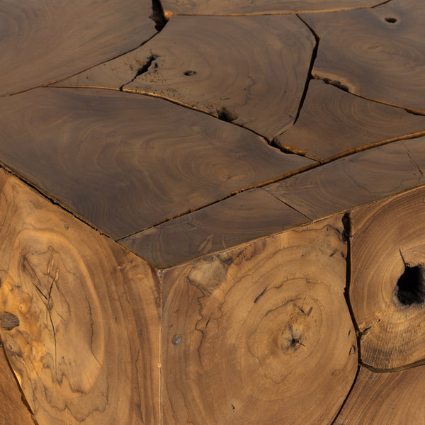 Tomlin Outdoor End Table In Teak Root