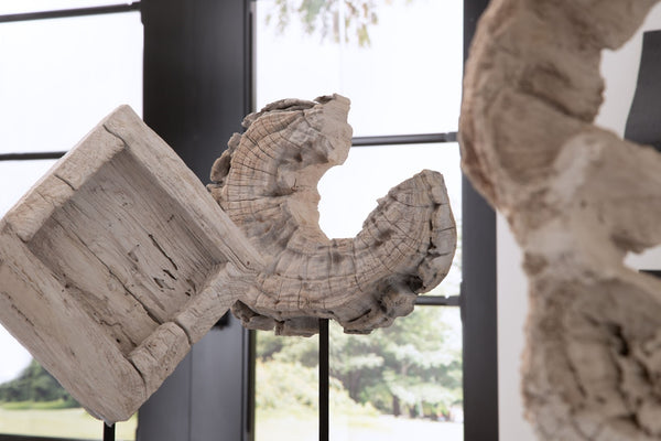 Eroded Wood Circle Sculpture on Stand , Assorted