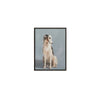 Moe's Blue Framed Dog Portrait