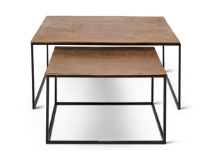 Mudra Coffee Table (Set of 2)