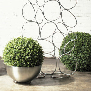 Boxwood Ball