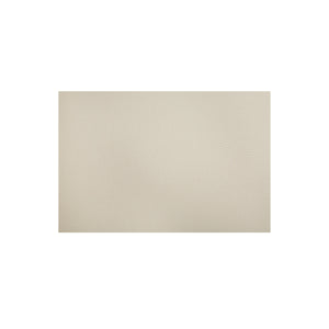 Moe's Lydia Outdoor Slipcover Dining Chair in Cream