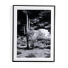 Sonoran Desert By Getty In Black 2.5 Maple