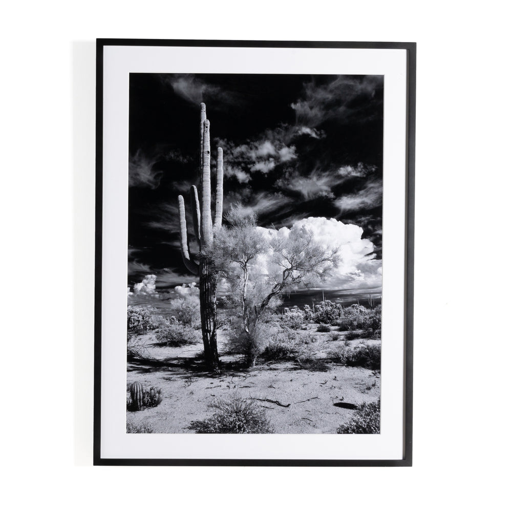 Sonoran Desert By Getty In Black 2.5 Maple