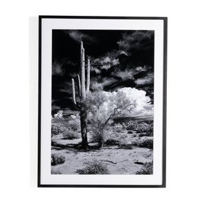 Sonoran Desert By Getty In Black 2.5 Maple
