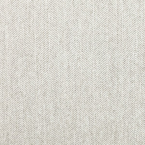 Guilia Frost Gray With Metal Frame Sling Accent Chair