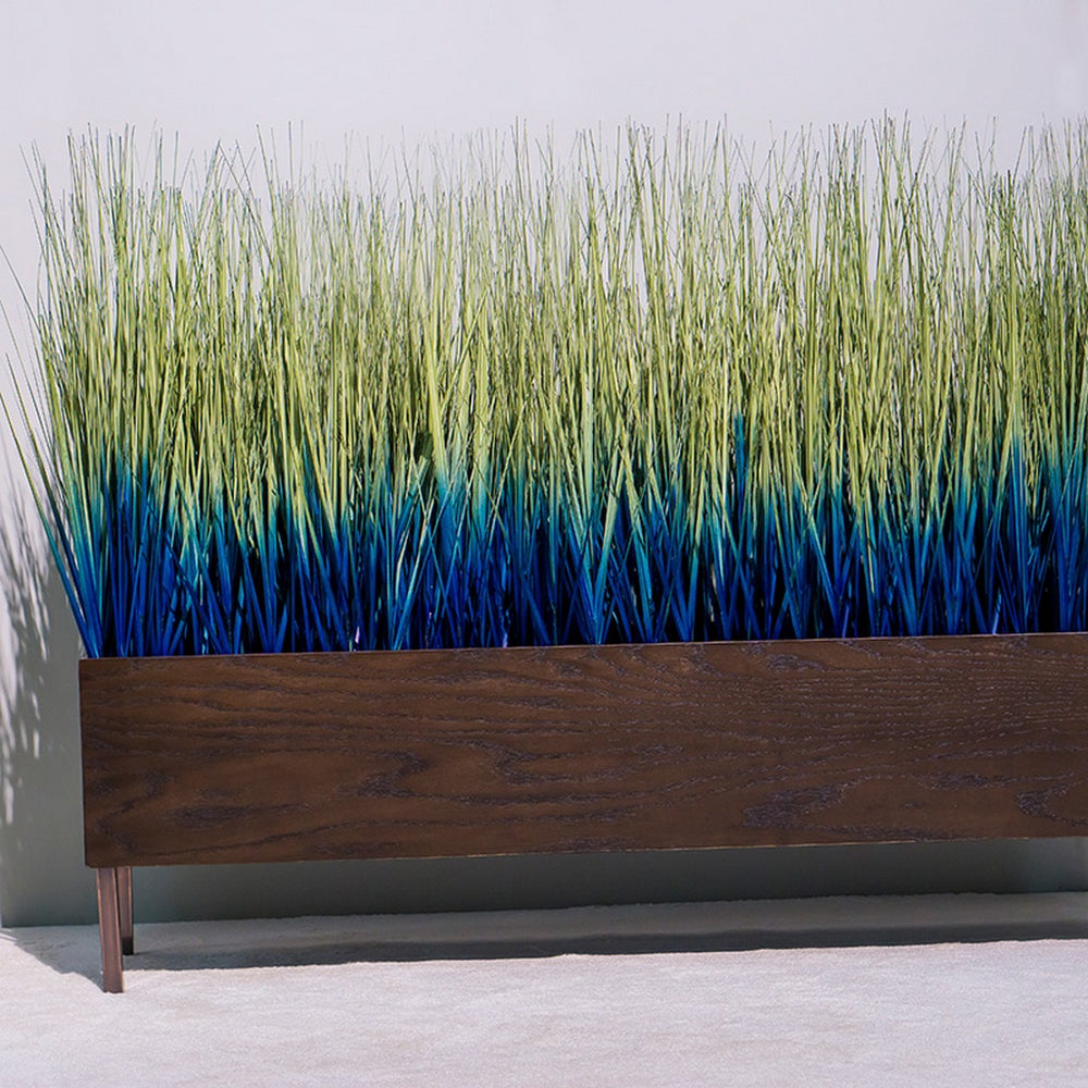 Ombre Japanese Grass in Custom Rectangle Planter