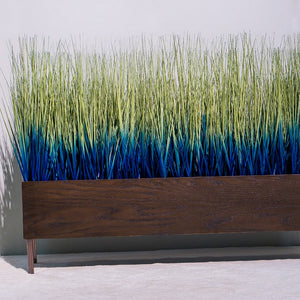 Ombre Japanese Grass in Custom Rectangle Planter