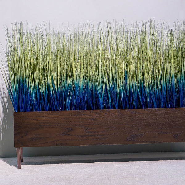 Ombre Japanese Grass in Custom Rectangle Planter