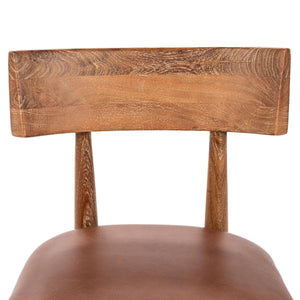 Alvaro Leather Dining Chair Set of 2 - Golden Wheat