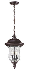 Armstrong Outdoor Chain Light in Bronze Finish