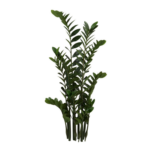 Unpotted Zamifolia Plant, set/9