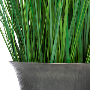 Bluestem Grass in Grecco Urn