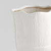 Astraea Vase | White