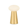 CASHEL Rechargeable Table Lamp