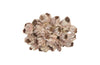 Barnacle Cluster Wall Art, Large