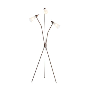 Ludwig Floor Lamp In Rust And Frosted Glass And Clear Cord